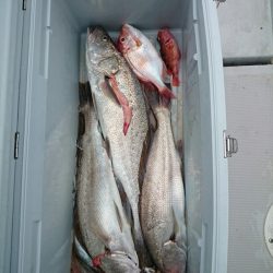 エンペラー 釣果