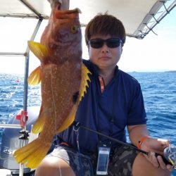 ソルトウォーターガイドフレンズ 釣果