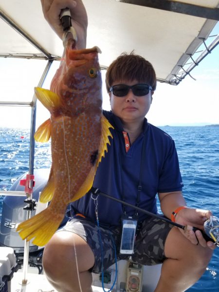 ソルトウォーターガイドフレンズ 釣果