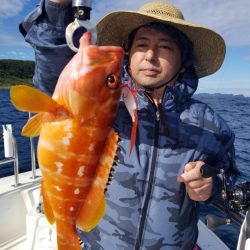 ソルトウォーターガイドフレンズ 釣果