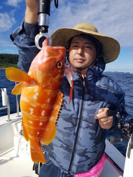 ソルトウォーターガイドフレンズ 釣果