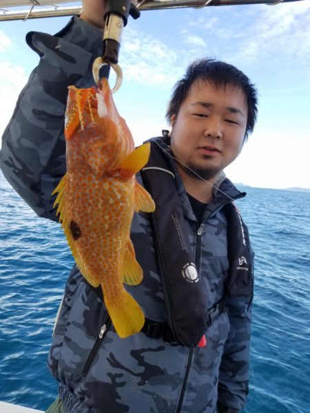 ソルトウォーターガイドフレンズ 釣果