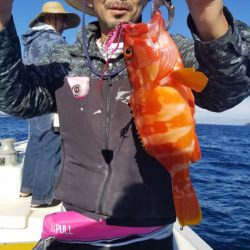 ソルトウォーターガイドフレンズ 釣果