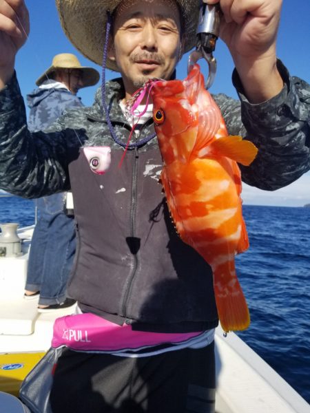 ソルトウォーターガイドフレンズ 釣果