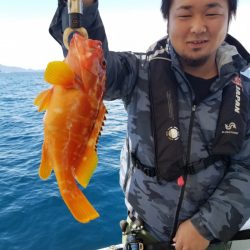 ソルトウォーターガイドフレンズ 釣果