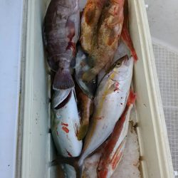 bay style 釣果