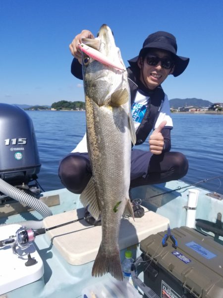 アマテラス 釣果