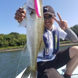 アマテラス 釣果