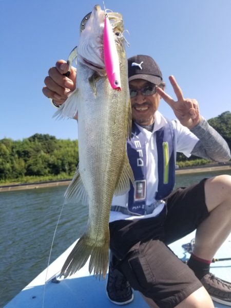 アマテラス 釣果