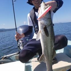 アマテラス 釣果