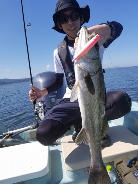 アマテラス 釣果