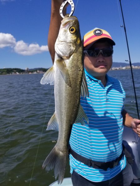 アマテラス 釣果