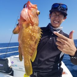 ソルトウォーターガイドフレンズ 釣果