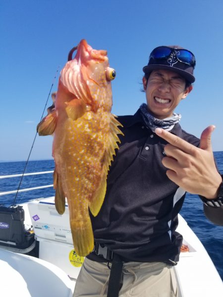 ソルトウォーターガイドフレンズ 釣果