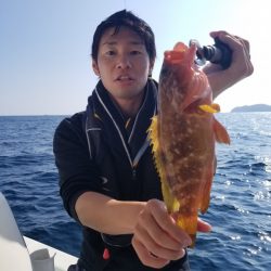 ソルトウォーターガイドフレンズ 釣果