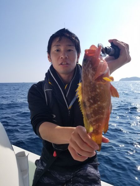 ソルトウォーターガイドフレンズ 釣果