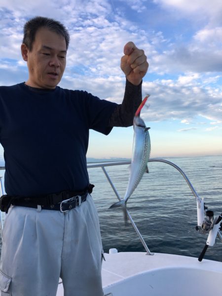 うさぎ丸 釣果
