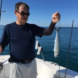 うさぎ丸 釣果