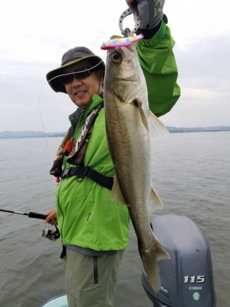 アマテラス 釣果