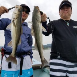 アマテラス 釣果