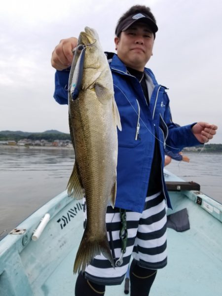 アマテラス 釣果