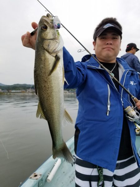 アマテラス 釣果