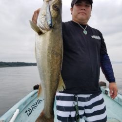 アマテラス 釣果