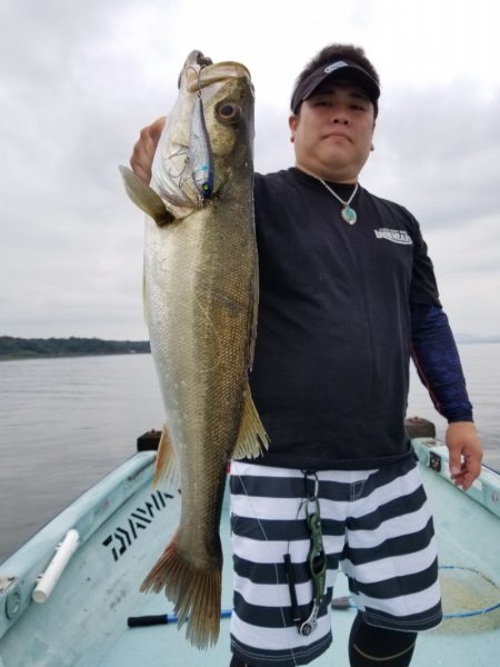 アマテラス 釣果