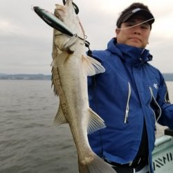 アマテラス 釣果