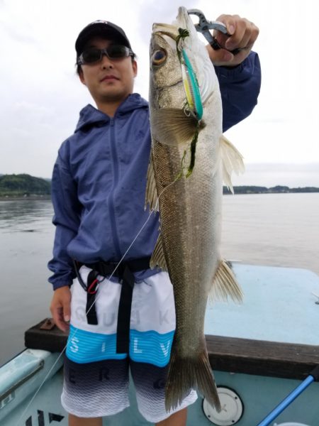 アマテラス 釣果