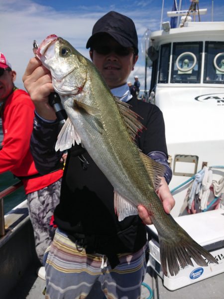 ありもと丸 釣果
