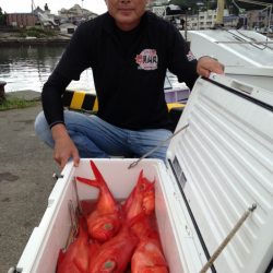 晃山丸 釣果