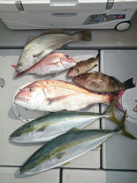 エンペラー 釣果