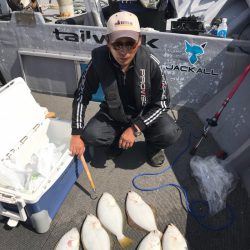 シーランチ 釣果