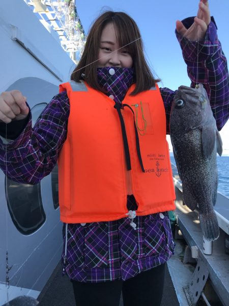 シーランチ 釣果