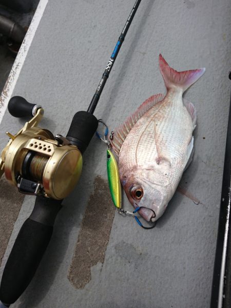 ありもと丸 釣果