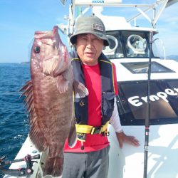 エンペラー 釣果