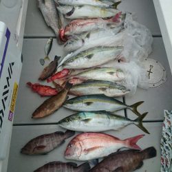 エンペラー 釣果