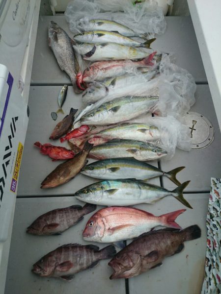 エンペラー 釣果