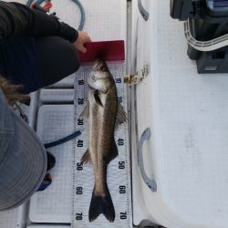 海龍丸（島根） 釣果