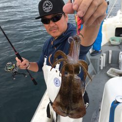 エヌスタイル 釣果