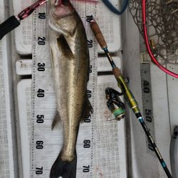 海龍丸（島根） 釣果