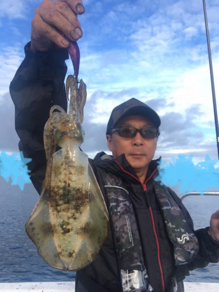 エヌスタイル 釣果