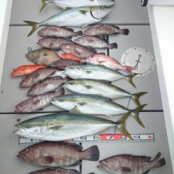 エンペラー 釣果