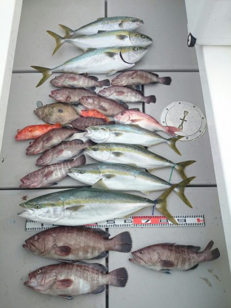 エンペラー 釣果