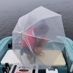 アマテラス 釣果