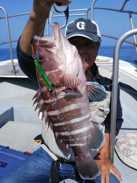 光生丸 釣果