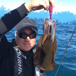 エヌスタイル 釣果