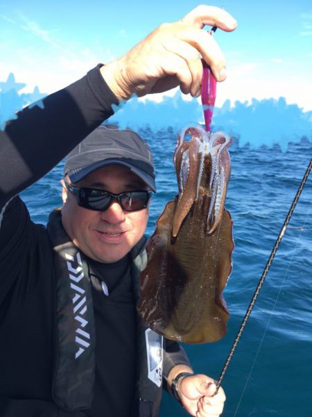 エヌスタイル 釣果