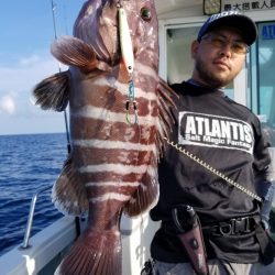 アマテラス 釣果